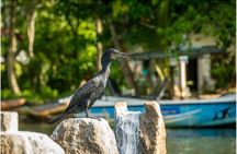 Koggala Lake Boat Safari with Malish