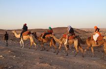 Sunset Camel Ride and Dinner with Live Gnawa