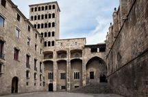 Barcelona Gothic Quarter and El Born Semi-Private Tour 12ppl Max
