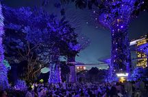 Garden Rhapsody, Spectra Show & Singapore River Cruise Night Tour