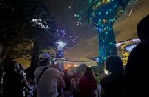 Garden Rhapsody, Spectra Show & Singapore River Cruise Night Tour