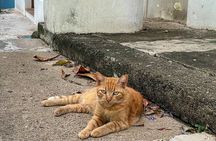 Old San Juan Sunset Photo Walk & History Tour