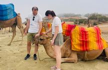 Bestseller TANGIER PRIVATE TOUR: Highlights, Camels & Old Town 