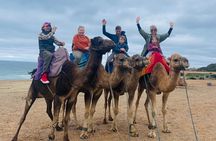 Bestseller TANGIER PRIVATE TOUR: Highlights, Camels & Old Town 