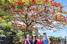 Heart of Grenada Heritage Adventure