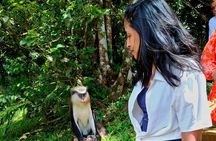 Heart of Grenada Heritage Adventure