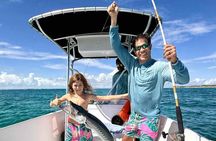 Half Day Pigs Turtles Reef and Ship Wreck Snorkeling 