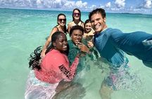 Half Day Pigs Turtles Reef and Ship Wreck Snorkeling 