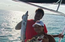 Half Day Pigs Turtles Reef and Ship Wreck Snorkeling 