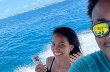 Half Day Pigs Turtles Reef and Ship Wreck Snorkeling 