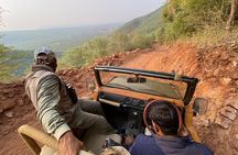 4 Day Golden Triangle with Ranthambore Tiger Safari Tour from Delhi