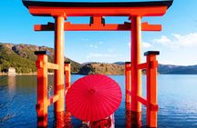 Tokyo: Mt. Fuji Cruise & Hakone Ropeway Day Trip by Bus