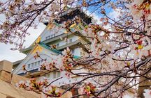 Osaka Castle & Temple Walking Tour with Multilingual Audio Guide