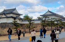 Osaka Castle & Temple Walking Tour with Multilingual Audio Guide