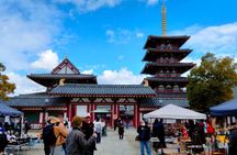Osaka Castle & Temple Walking Tour with Multilingual Audio Guide