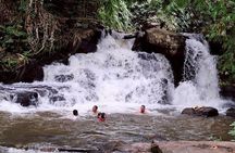 Half Day Afternoon Elephant Observation Tour in Chiang Mai