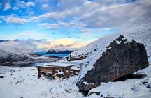Tromsø Private North Coast Fjord & Arctic Wilderness Tour