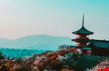 Kyoto Private Day Tour Experience Customizable to Sightseeing