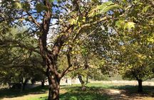 Old Religious Sites in the Sorroundings of Saranda