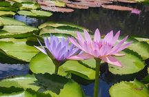 Pleasure in Mauritius