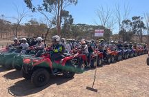 Marrakech Evening Argan Visit Quad & Fire Gnaoua Show