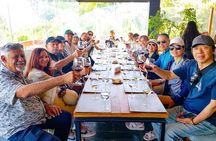 Santiago to Valparaiso Cruise Port: Wine & Valparaiso Tour