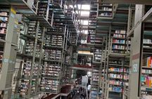 Vasconcelos Library and Santa Maria la Ribera