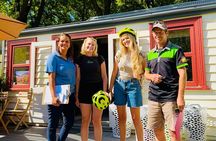 Electric Bike and Wine Tour Queenstown