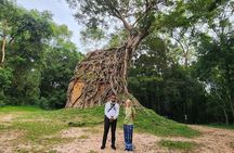 Sambor Prei Kuk Temples Group (Siem Reap to Kampong Thom)