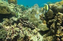 Private Boat Route B by Long Tail Boat