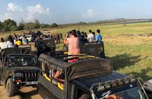 Sri Lanka 4 Day Private Wildlife & Beach Tour – Yala, Ella, Galle