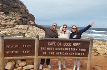 Cape Town: Cape of Good Hope Private tour