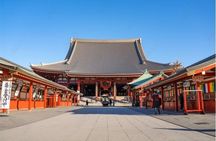 Private Tokyo Tour with English Speaking Driver