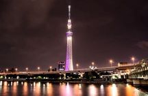 Private Tokyo Tour with English Speaking Driver