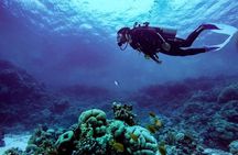 Marsa Mubarak Snorkeling Trip with One intro Dive From Marsa 