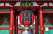 Private Tokyo Tour with English Speaking Driver