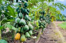 Hanoi Jeep Tour: History, Culture, Sight & Train St. by Army Jeep