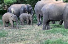 Hurulu Eco Park Safari