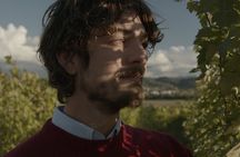Winery Tour & Tasting near Lake Trasimeno & Perugia