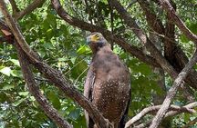 Hurulu Eco Park Safari