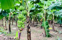 Hanoi Jeep Tour: History, Culture, Sight & Train St. by Army Jeep