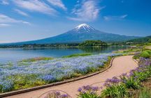 Private Mt Fuji Tour with English Speaking Driver
