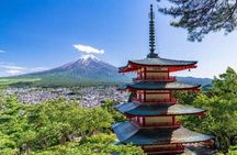 Private Mt Fuji Tour with English Speaking Driver