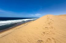Sandwich Harbour Adventure: Seals and Sandwich harbour dune drive