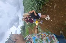 Arenal volcano sloths + waterfall hike+ Coffee-chocolate tour 