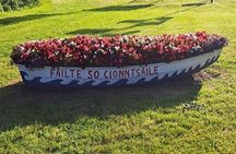 Day Tour to Cork City Blarney Castle and Kinsale