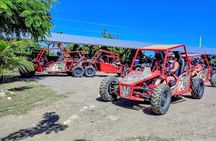 Amber Cove Buggy Tour with Swimming and Tasting
