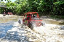 Amber Cove Buggy Tour with Swimming and Tasting
