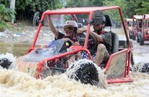 Amber Cove Buggy Tour with Swimming and Tasting