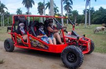 Amber Cove Buggy Tour Exploring and Tasting